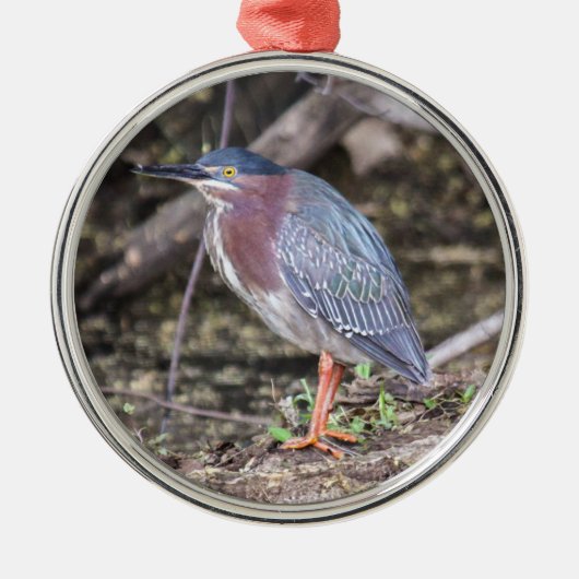 Green Heron Metalen Ornament (Voorkant)