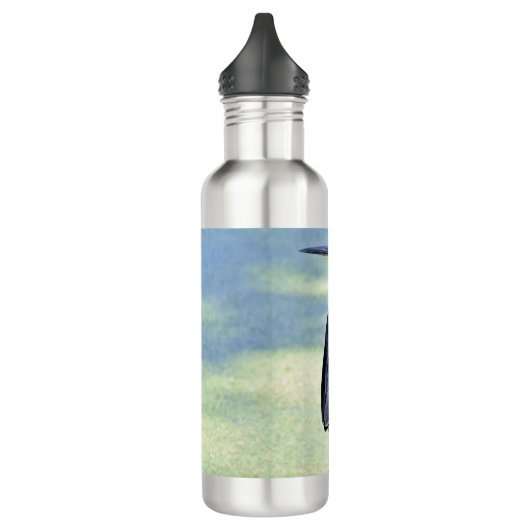 Green Heron Waterfles (Links)