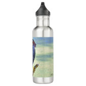 Green Heron Waterfles (Rechts)