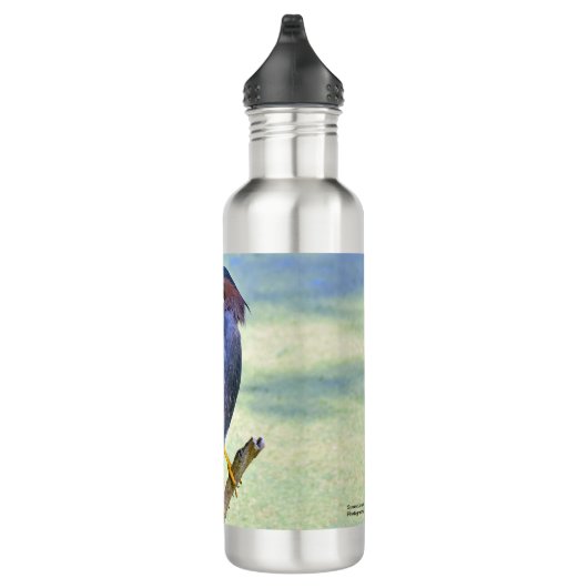 Green Heron Waterfles (Rechts)