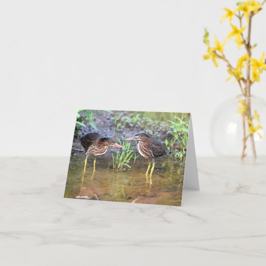 Green Herons Friendship Wenskaart Kaart (Gele Bloem)