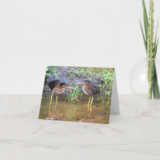 Green Herons Friendship Wenskaart Kaart (Voorkant)