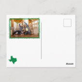 Green Hey Y'all - Verhuisd naar Texas Briefkaart (Achterkant)
