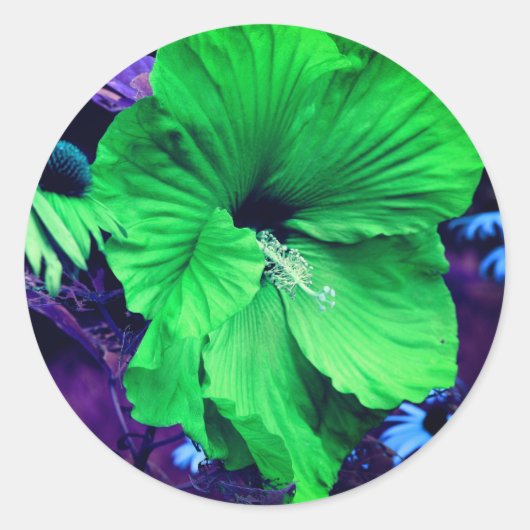 Green Hibiscus Flower Abstract Ronde Sticker (Voorkant)
