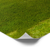 Green Hills with Blue Skies and White Clouds Poster (Hoek)