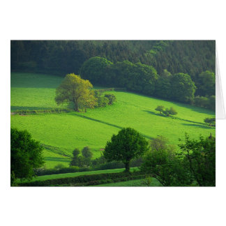 Green Hils