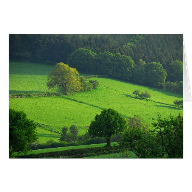 Green Hils (Voorkant Horizontaal)