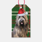 Green Holiday Plaid Briard Herdershond Kerstmis Cadeaulabel (Voorkant)