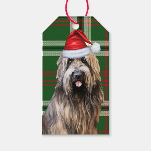 Green Holiday Plaid Briard Herdershond Kerstmis Cadeaulabel (Voorkant)