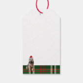 Green Holiday Plaid Briard Herdershond Kerstmis Cadeaulabel (Achterkant)