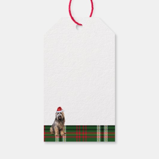Green Holiday Plaid Briard Herdershond Kerstmis Cadeaulabel (Achterkant)