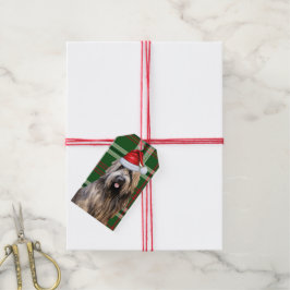 Green Holiday Plaid Briard Herdershond Kerstmis Cadeaulabel
