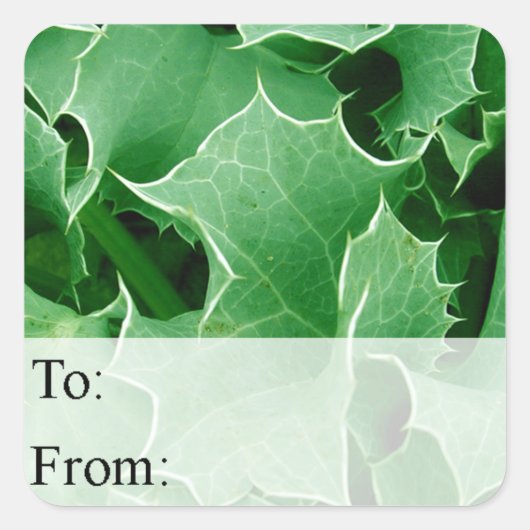 Green Holly verliest Label met kerstcadeaus (Voorkant)