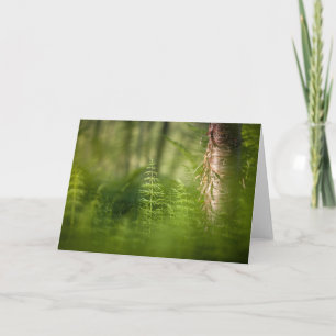 Green Horsetail-foto Kaart