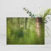 Green Horsetail-fotokaart (Staand voorkant)