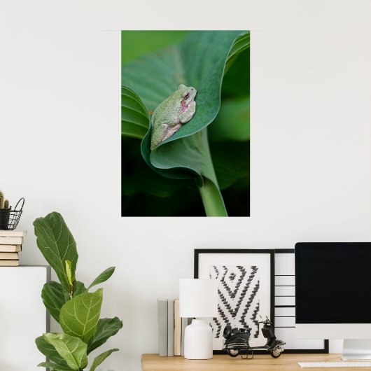 Green Hosta Leaf en Frog Poster (Thuiskantoor)