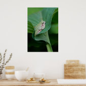 Green Hosta Leaf en Frog Poster (Keuken)