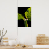 Green Hosta Leaf op zwart Poster (Keuken)