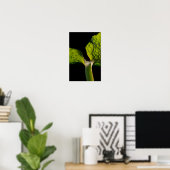 Green Hosta Leaf op zwart Poster (Thuiskantoor)