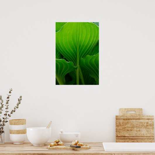Green Hosta Leaf Poster (Keuken)