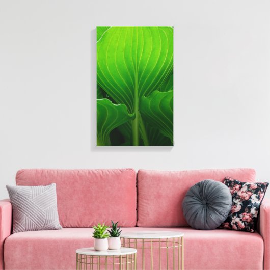 Green Hosta Leaves Canvas Afdruk (Insitu (Woonkamer))