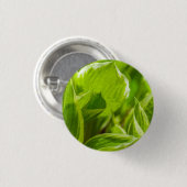 Green Hosta Leaves Ronde Button 3,2 Cm (Voorkant /achterkant)