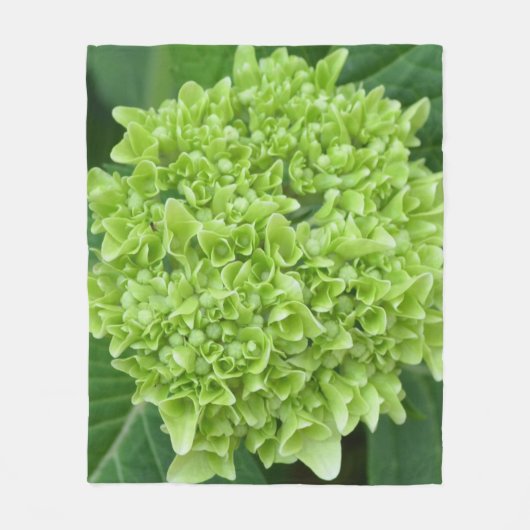 Green Hydrangea Fleece Deken (Voorkant)