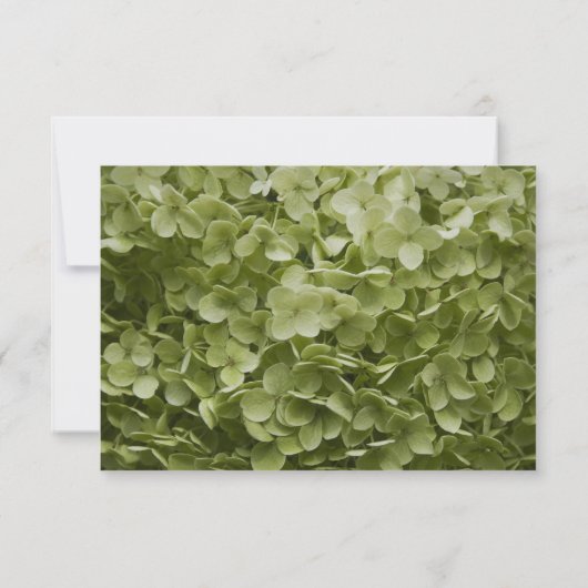 Green Hydrangea Floral Wedding RSVP (Achterkant)