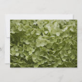 Green Hydrangea Flower Quinceanera Invitation Kaart (Achterkant)