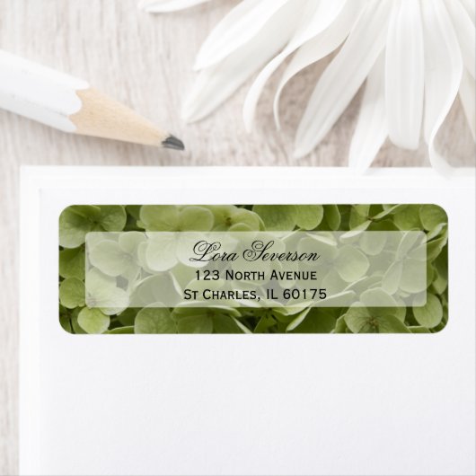Green Hydrangea Flower Return-adres Etiket (Insitu)