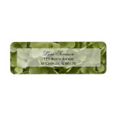 Green Hydrangea Flower Return-adres Etiket (Voorkant)
