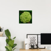 Green Hydrangea Poster (Thuiskantoor)