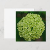 Green Hydrangea-uitnodigingen Kaart (Voorkant / Achterkant)