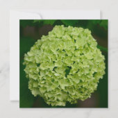 Green Hydrangea-uitnodigingen Kaart (Voorkant)