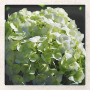 Green Hydrangeas Flowers Glazen Onderzetter