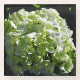 Green Hydrangeas Flowers Glazen Onderzetter