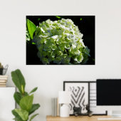 Green Hydrangeas Flowers Poster (Thuiskantoor)