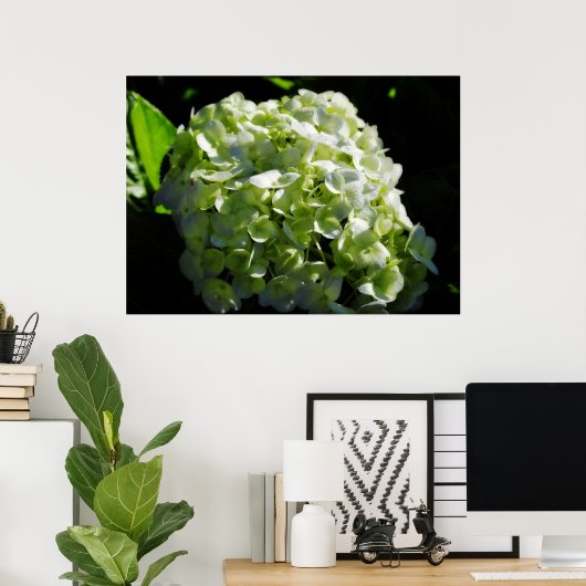 Green Hydrangeas Flowers Poster (Thuiskantoor)