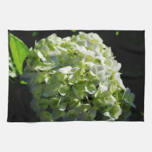Green Hydrangeas Flowers Theedoek