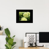 Green Hydrangeas Poster (Thuiskantoor)