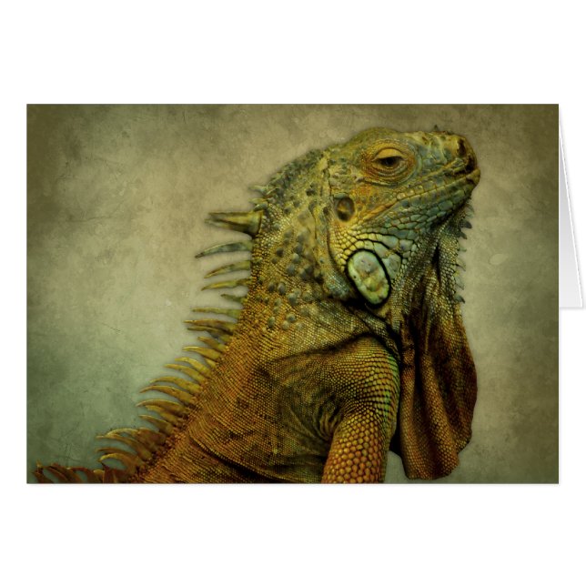 Green Iguana (Voorkant Horizontaal)