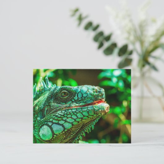 Green Iguana Briefkaart (Staand voorkant)