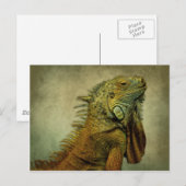 Green Iguana Briefkaart (Voorkant / Achterkant)