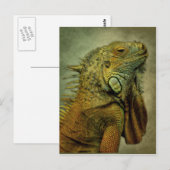 Green Iguana Briefkaart (Voorkant / Achterkant)