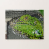 Green Iguana Close-up Photographic Legpuzzel (Horizontaal)