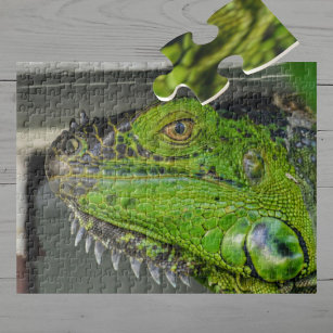 Green Iguana Close-up Photographic Legpuzzel