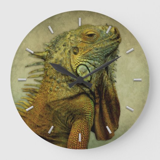 Green Iguana Grote Klok (Voorkant)