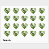 Green Iguana Hart Sticker (Vel)