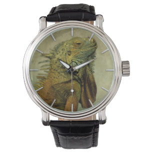Green Iguana Horloge