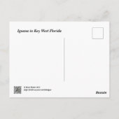 Green iguana in Key West Florida Briefkaart (Achterkant)